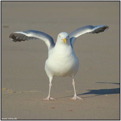 Naturfotografie # Landschaftsfotografie # Roland Valter # Fotograf # Aachen # rolva