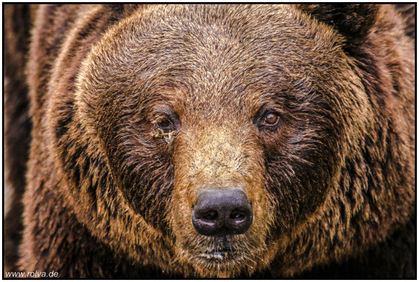 Naturfotografie # Landschaftsfotografie # Roland Valter # Fotograf # Aachen # rolva