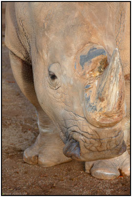 Naturfotografie # Landschaftsfotografie # Roland Valter # Fotograf # Aachen # rolva