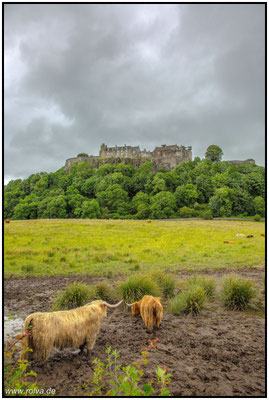 Naturfotografie # Landschaftsfotografie # Roland Valter # Fotograf # Aachen # rolva