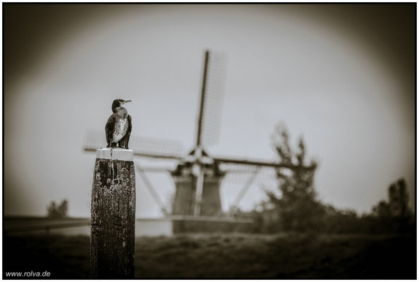Naturfotografie # Landschaftsfotografie # Roland Valter # Fotograf # Aachen # rolva