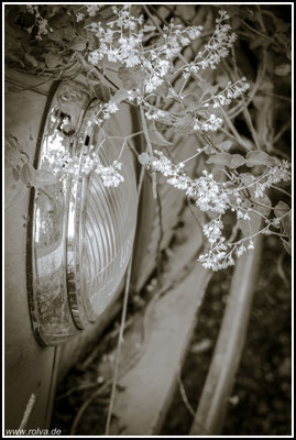 Verfall # Schwarz Weiss