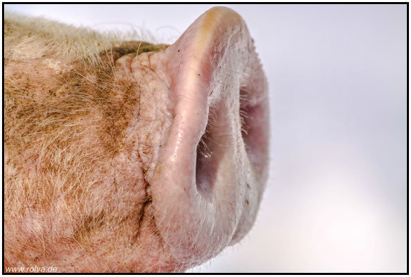 Naturfotografie # Landschaftsfotografie # Roland Valter # Fotograf # Aachen # rolva