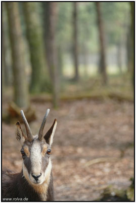 Naturfotografie # Landschaftsfotografie # Roland Valter # Fotograf # Aachen # rolva