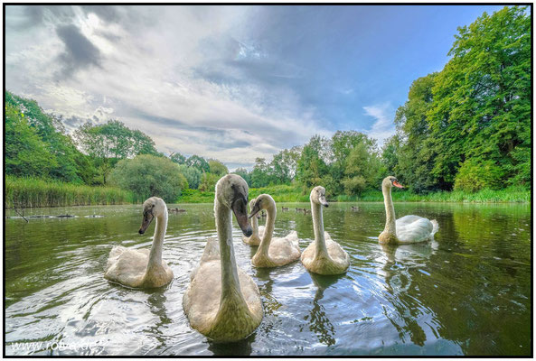 Naturfotografie # Landschaftsfotografie # Roland Valter # Fotograf # Aachen # rolva