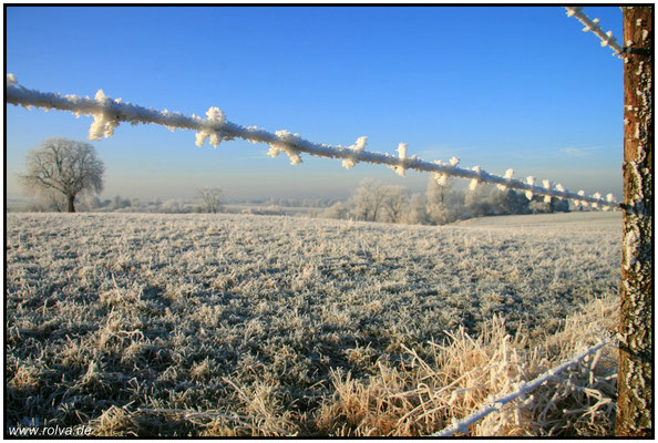 Winter#Horbacher Feld