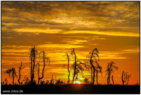 Naturfotografie # Landschaftsfotografie # Roland Valter # Fotograf # Aachen # rolva