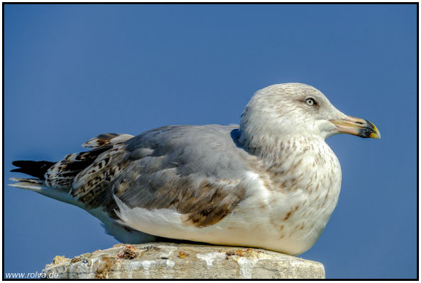 Naturfotografie # Landschaftsfotografie # Roland Valter # Fotograf # Aachen # rolva