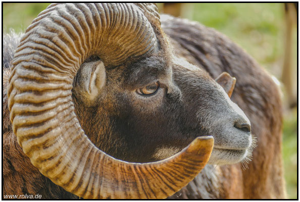 Naturfotografie # Landschaftsfotografie # Roland Valter # Fotograf # Aachen # rolva