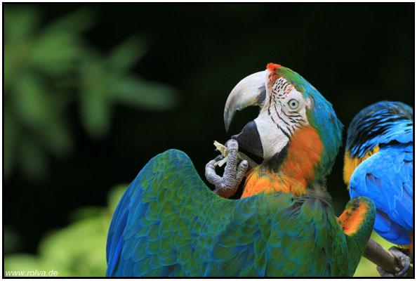 Naturfotografie # Landschaftsfotografie # Roland Valter # Fotograf # Aachen # rolva