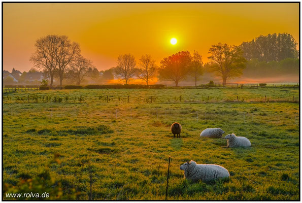Naturfotografie # Landschaftsfotografie # Roland Valter # Fotograf # Aachen # rolva