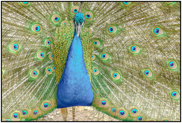 Naturfotografie # Landschaftsfotografie # Roland Valter # Fotograf # Aachen # rolva