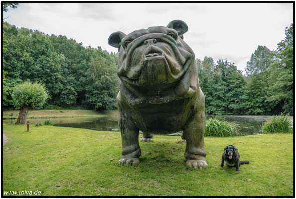 Dreamteam#David und Goliath#Sonderbares