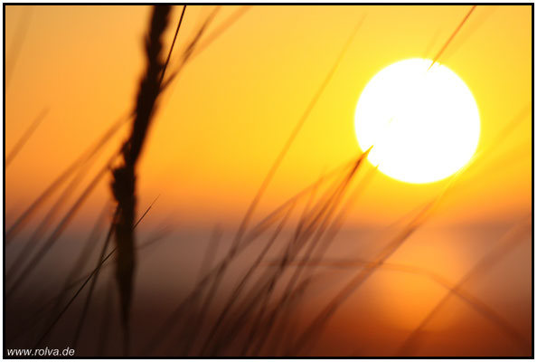 Naturfotografie # Landschaftsfotografie # Roland Valter # Fotograf # Aachen # rolva