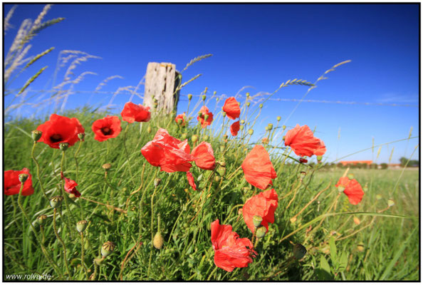 Naturfotografie # Landschaftsfotografie # Roland Valter # Fotograf # Aachen # rolva