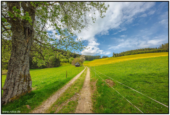 Naturfotografie # Landschaftsfotografie # Roland Valter # Fotograf # Aachen # rolva