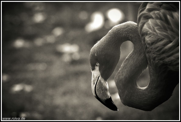 Naturfotografie # Landschaftsfotografie # Roland Valter # Fotograf # Aachen # rolva