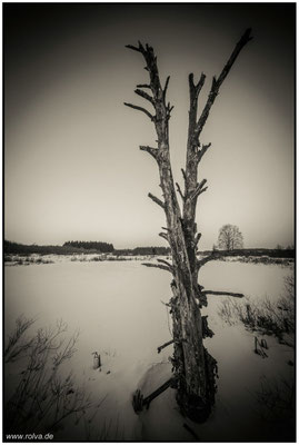 Naturfotografie # Landschaftsfotografie # Roland Valter # Fotograf # Aachen # rolva