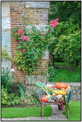 Naturfotografie # Landschaftsfotografie # Roland Valter # Fotograf # Aachen # rolva