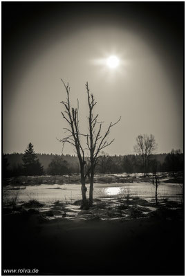 Naturfotografie # Landschaftsfotografie # Roland Valter # Fotograf # Aachen # rolva