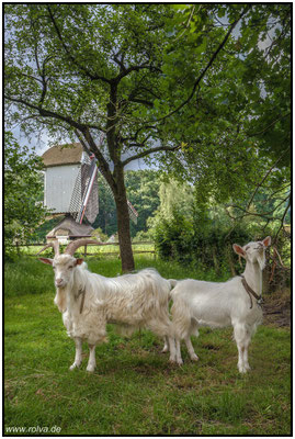 Naturfotografie # Landschaftsfotografie # Roland Valter # Fotograf # Aachen # rolva