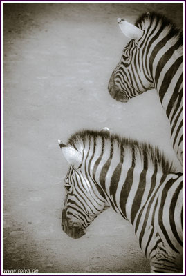 Naturfotografie # Landschaftsfotografie # Roland Valter # Fotograf # Aachen # rolva