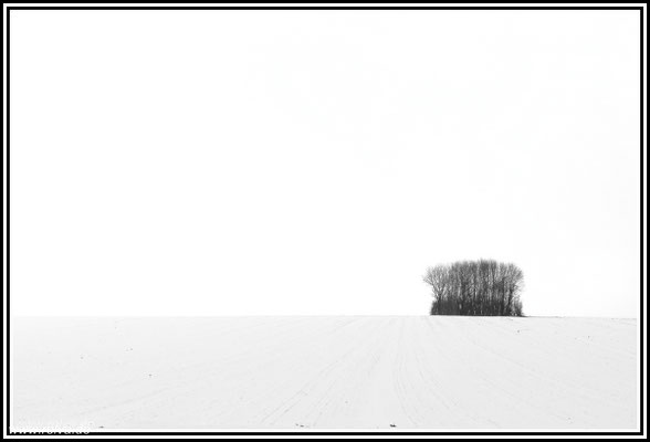 Naturfotografie # Landschaftsfotografie # Roland Valter # Fotograf # Aachen # rolva