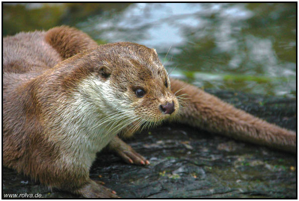 Naturfotografie # Landschaftsfotografie # Roland Valter # Fotograf # Aachen # rolva