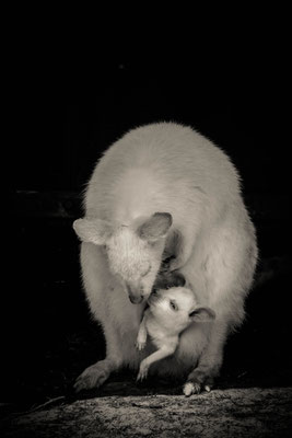 Naturfotografie # Landschaftsfotografie # Roland Valter # Fotograf # Aachen # rolva
