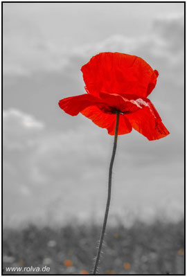 Naturfotografie # Landschaftsfotografie # Roland Valter # Fotograf # Aachen # rolva