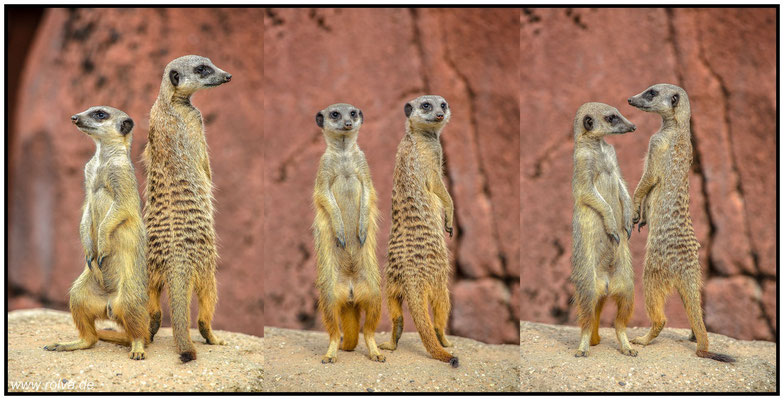 Naturfotografie # Landschaftsfotografie # Roland Valter # Fotograf # Aachen # rolva