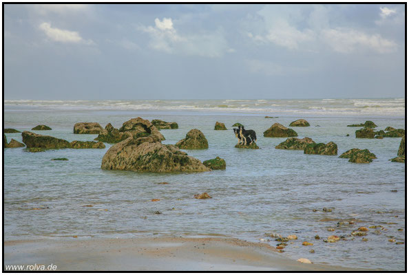 Zwei Brüder#Angst vorm Wasser#Sonderbares