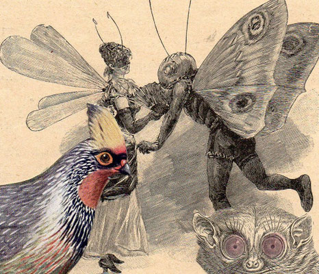 OHRENSAUSEN 58 ( BEGLEITER IN MEINE TRÄUME / REALITÄT / MEINE ) 