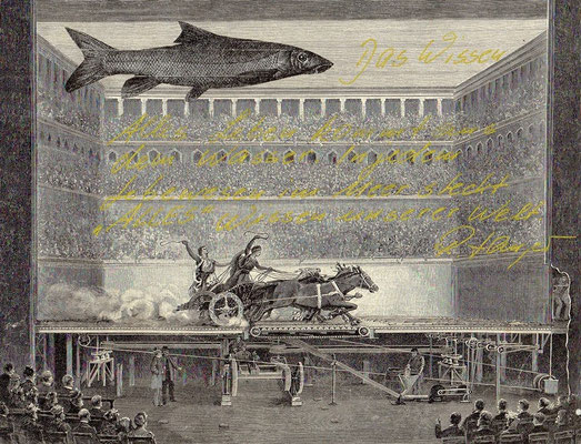 OHRENSAUSEN 78 ( DAS WISSEN ) 