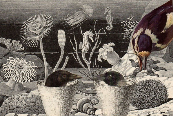 OHRENSAUSEN 88 ( DIE SAAT GET AUF / VERWUNDERUNG ) 