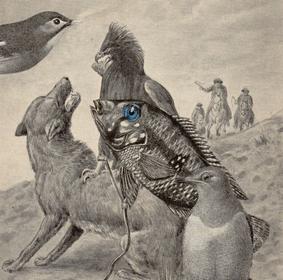 OHRENSAUSEN 50 ( DAS LEBEN ) 