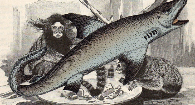 OHRENSAUSEN 93 ( MAHLZEIT .... NUR DIE RUHE ) 