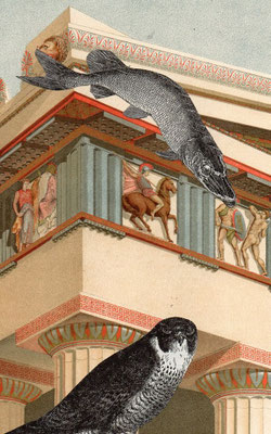 OHRENSAUSEN 55 ( TRAUMDIEBE ) 