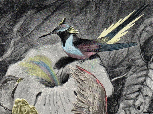 OHRENSAUSEN 75 ( DIE SCHÖNHEIT DER WELT ) 