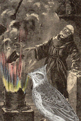 OHRENSAUSEN 70 ( STILLE BEOBACHTER )