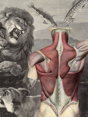 OHRENSAUSEN 52 ( DIE REISE ZU MIR SELBST ) 