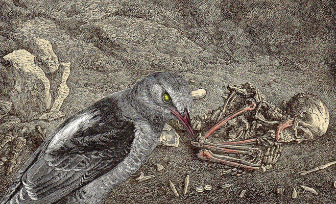 OHRENSAUSEN 73 ( STILLE BEOBACHTER ) 