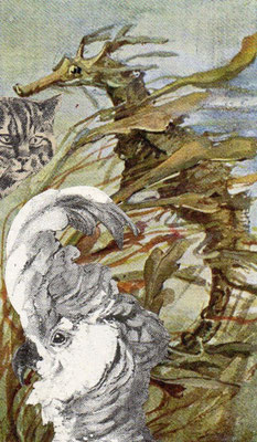 OHRENSAUSEN 54 ( STÜRMISCH )