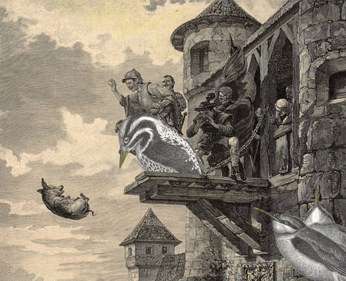 OHRENSAUSEN 69 ( STILLE BEOBACHTER ) 