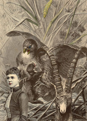 OHRENSAUSEN 95 ( DIE W.E.L.T.......WEGSCHAUEN ) 