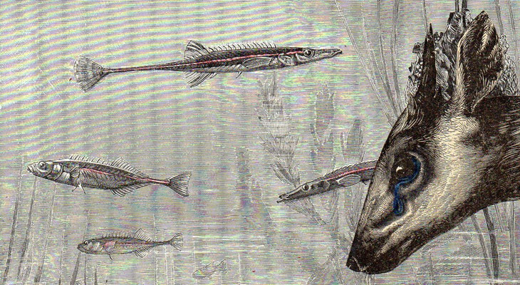 OHRENSAUSEN 45 ( NAH AM HAFEN )