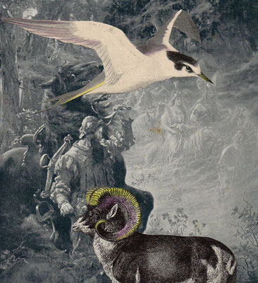 OHRENSAUSEN 66 ( EIN TRAUM ) 