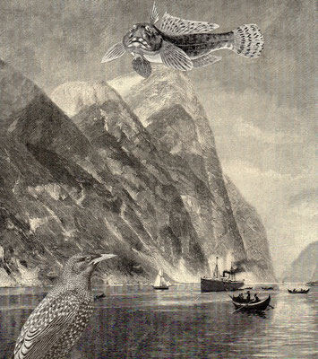 OHRENSAUSEN 48 ( STILLE ) 