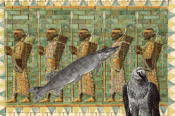 OHRENSAUSEN 57 ( TRAUMDIEBE ) 