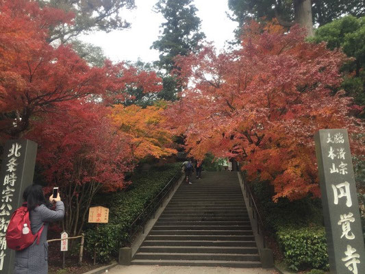 円覚寺